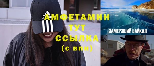 прущие грибы Протвино