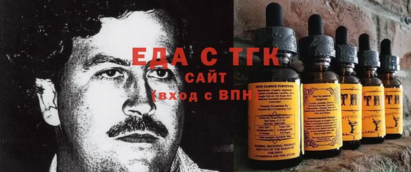 тгк Сатка