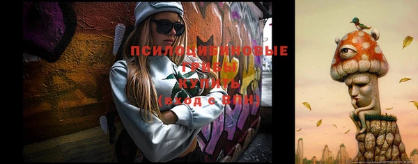 первитин Сафоново