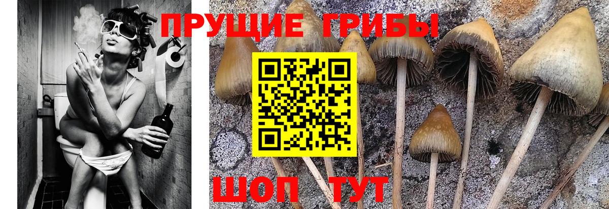 Галлюциногенные грибы Cubensis  Вход с VPN  Магнитогорск 